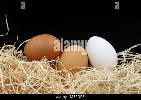 three eggs with wood wool Stock Photo