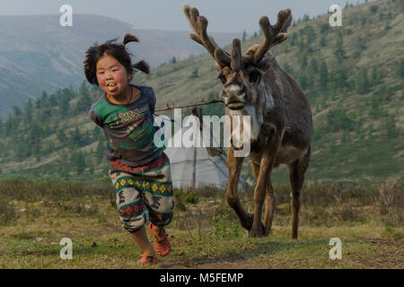 Tsaatan Life, Reindeer Herder, Tsaaganuur, Mongolia Stock Photo