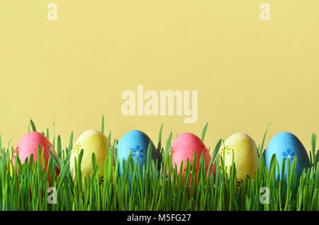 Painted Easter eggs in a green grass on a meadow. Happy Easter. Stock Photo