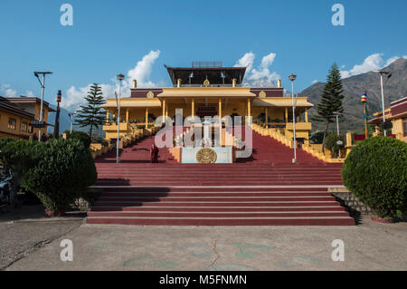 gyuto monastery, dharamsala, himachal pradesh, India, Asia Stock Photo