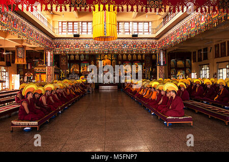 Gyuto Monastery, Dharamsala, Himachal Pradesh, India, Asia Stock Photo