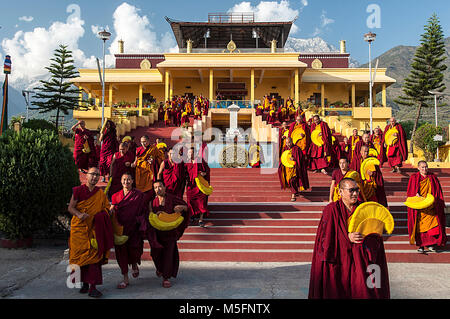 Gyuto Monastery, Dharamsala, Himachal Pradesh, India, Asia Stock Photo