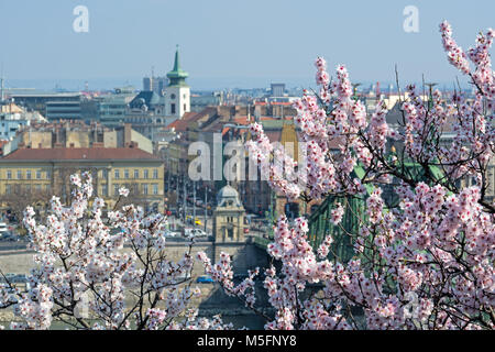 Spring blooming apple tree against Budapest city Stock Photo