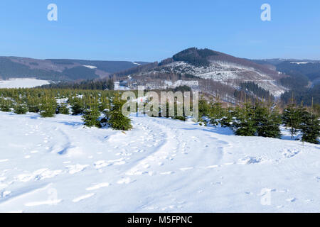 Scenic view of The Hoher Knochen Hotel in winter, set amidst the forests of the Rothaar Mountains, Schmallenberg, the Sauerland, Germany. Stock Photo