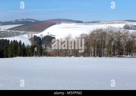 Deer stand in a snow-coverd landscape of the Rothaar Mountains in the Sauerland, Schmallenberg, North Rhine-Westphalia, Germany. Stock Photo