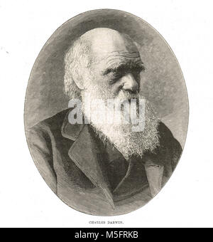 Charles Darwin, evolutionist, 1809-1882 Stock Photo