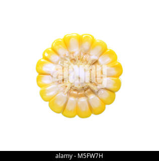 Isolated sweetcorn, top view closeup photo of corn that connect with a corncob isolated on white background, yellow corn grain, core of corncob, cornc Stock Photo