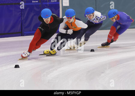 St. Petersburg, Russia - February 18, 2018: Olympic champion Vladimir Grigoriev (in front) in short track speed skating competitions during Pavlovsky  Stock Photo