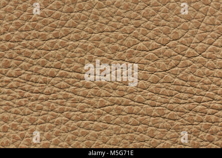 Simple light brown leather texture. High resolution photo. Stock Photo