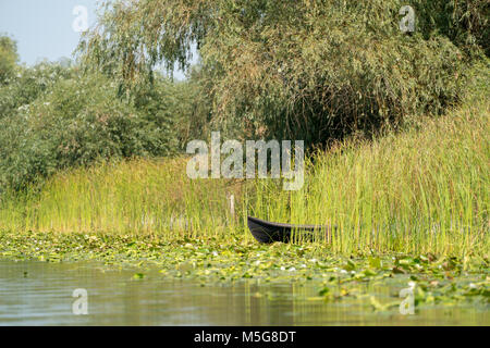 Traditional raft called Lotca the fishing boat of the fishermans in the Danube Delta (Delta Dunarii) Romania near Letea Village Stock Photo