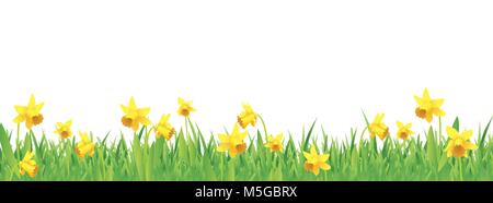 Pretty daffodils for spring full vector banner Stock Vector