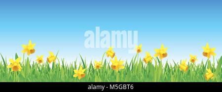 Pretty daffodils for spring full vector banner Stock Vector