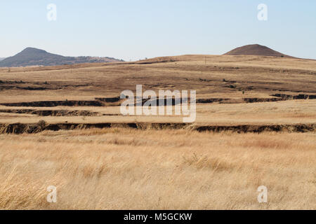 Dry Free State landscape with soil erosion, Free State, South Africa Stock Photo