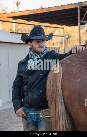 Cowboy in black hat with hand on horse Stock Photo