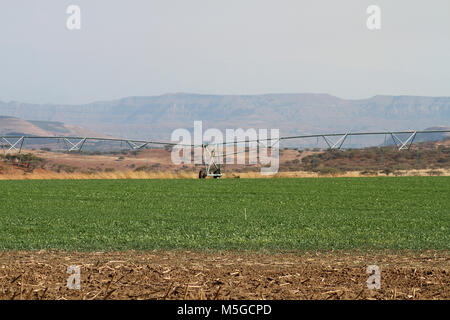 A center pivot irrigation system on farmland, Free State, South Africa Stock Photo