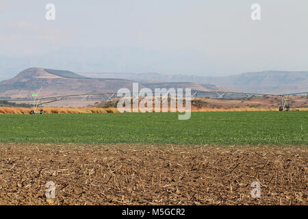 A center pivot irrigation system on farmland, Free State, South Africa Stock Photo