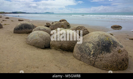 Moeraki Boulders in New Zealand beach sunny cloudy day. Take a short walk to see huge spherical boulders scattered on the beach. Stock Photo