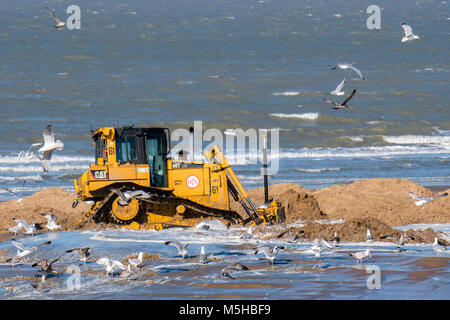 Bulldozer used for sand replenishment / beach nourishment to make wider beaches to reduce storm damage to coastal structures along the Belgian coast Stock Photo