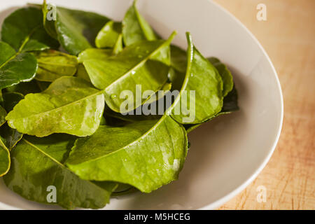 a bowl of kaffir lime leaves Stock Photo