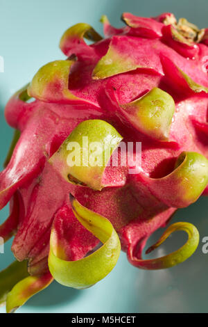 a whole, fresh, ripe Dragon Fruit Stock Photo