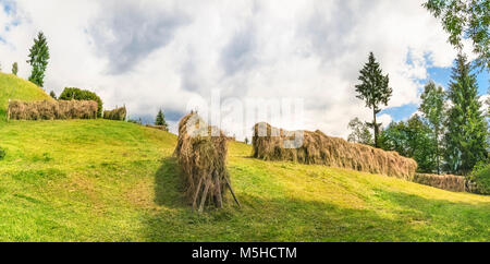 Countryside panorama with a bunch of haystacks on green meadow, surrounded by trees, under a blue sky with white clouds, on a sunny day of summer. Stock Photo