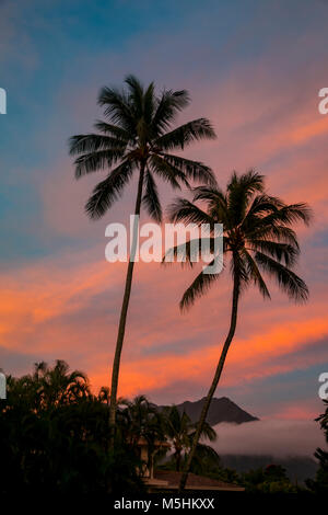 Two coconut palm trees. sunset, Hawaii Stock Photo