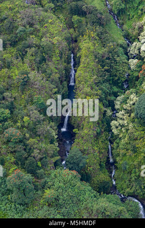 Koolau Forest Reserve, Hana Coast, Maui, Hawaii Stock Photo