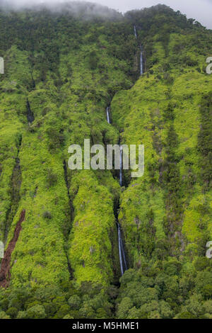 Koolau Forest Reserve, Hana Coast, Maui, Hawaii Stock Photo