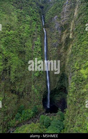 Koolau Forest Reserve, Hana Coast, Maui, Hawaii Stock Photo