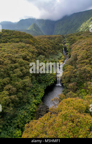 Koolau Forest Reserve, Hana Coast, Maui, Hawaii Stock Photo