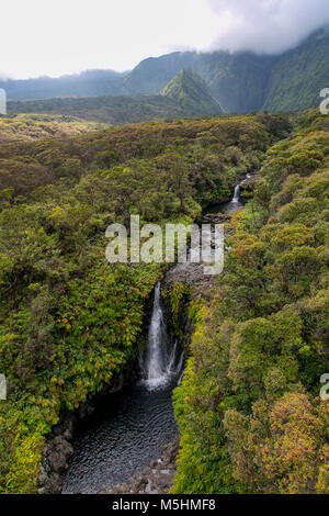 Koolau Forest Reserve, Hana Coast, Maui, Hawaii Stock Photo