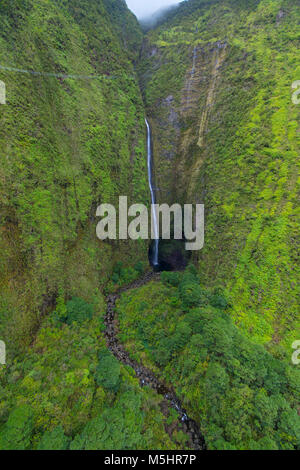 Koolau Forest Reserve, Hana Coast, Maui, Hawaii Stock Photo