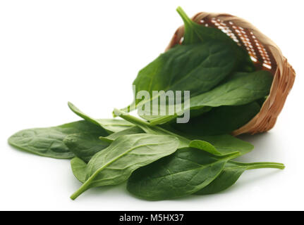 Fresh Spinach over white background Stock Photo