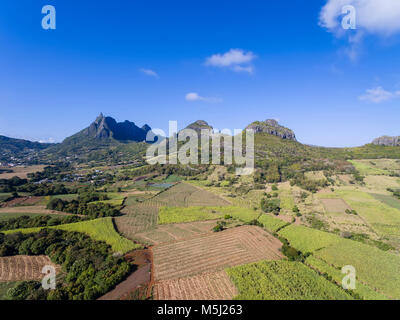 Mauritius, Highlands, sugarcane fields with Mountain Pieter Both left Stock Photo