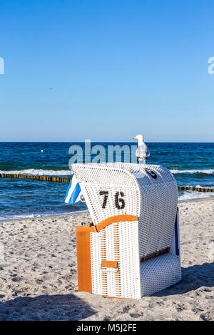 Germany, Mecklenburg-Western Pomerania, Baltic sea seaside resort Kuehlungsborn, hooded beach chair and seagull Stock Photo