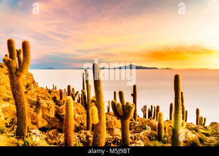 View on sunrise over island incahuasi by salt lake Uyuni in Bolivia Stock Photo