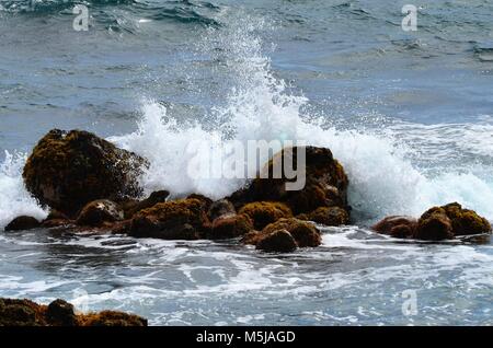 The ocean waves are crashing and splashing up against the rocks along the coastal shoreline of Hawaii Stock Photo