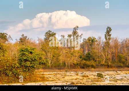 Dried up riverbed and woodland, dramatic clouds, in Jim Corbett National Park wildlife sanctuary, Ramnagar, Uttarakhand State, northern India Stock Photo