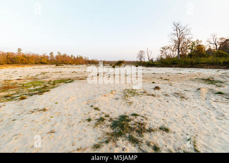 Dried up riverbed in Jim Corbett National Park wildlife sanctuary, Ramnagar, Uttarakhand State, northern India Stock Photo