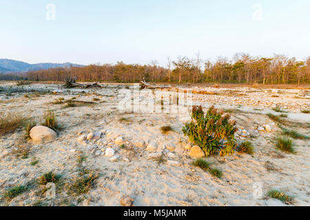 Dried up riverbed in Jim Corbett National Park wildlife sanctuary, Ramnagar, Uttarakhand State, northern India Stock Photo