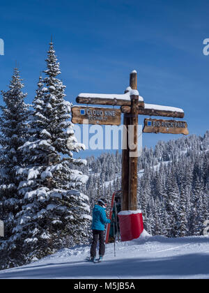 Top of the Cloud Nine and Big Rock Park ski trails, winter, Blue Sky Basin, Vail Ski Resort, Vail, Colorado. Stock Photo