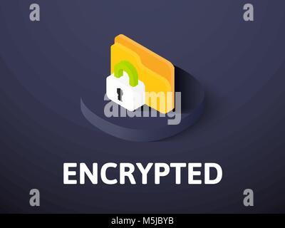 Encrypted isometric icon, isolated on color background Stock Vector