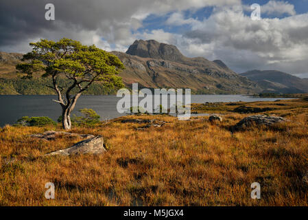 Slioch from the shoreline of Loch Maree Stock Photo