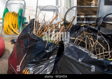 Domestic garden waste of twigs and leaves in black plastic bags Stock Photo