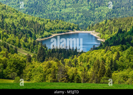 French lake (Le lac de la lande) - an idyllic lake surrounded by green forest in french Alsace on Route of Crete, France Stock Photo