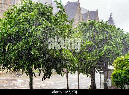 Summer shower of rain, lime trees, Strasbourg, Alsace, France, Europe, Stock Photo