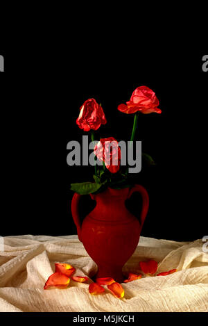 Three dying roses in a terracotta vase, set on a muslin cloth strewn with petals, against a black background. Stock Photo