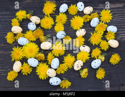 Easter eggs and dandelion on wooden background Stock Photo