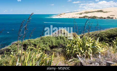 Arai-Te-Uru Peninsula, Near Openoni, North Island, New Zealand Stock Photo