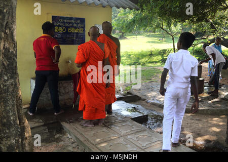 Polonnaruwa North Central Province Sri Lanka Buddhist Monks Queuing up to use Tap Stock Photo